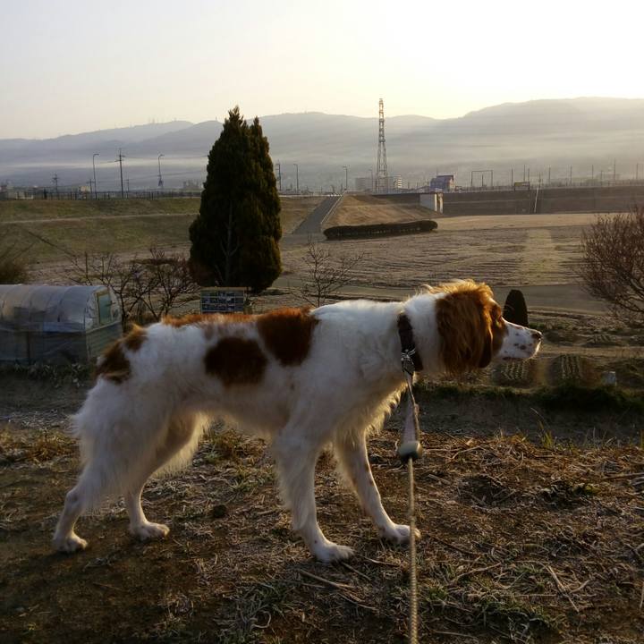 117b890c 97c7 43a6 8c25 fa63dc449c66 1519431191516