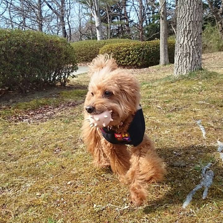 117b9bb1 3cd8 4ae5 8245 d52c16c469e6 1521433334446