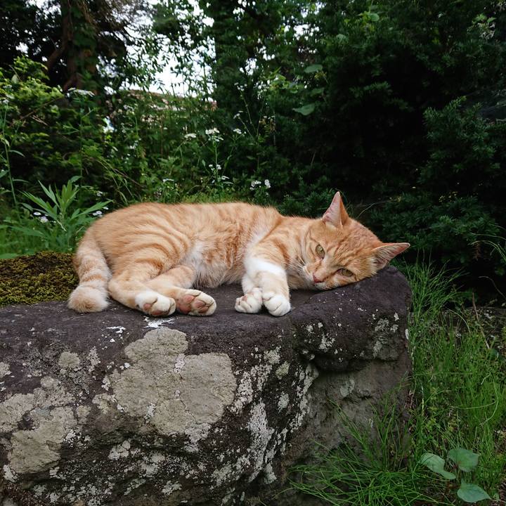 117ba855 abed 460f b301 d183ee867d47 1595490253551