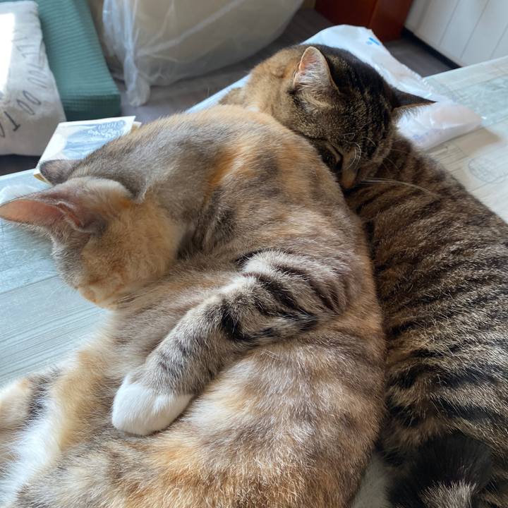 117be246 65bc 426d 8450 d2431024a5a4 1615002482624