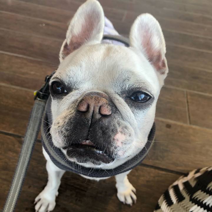 117be8cd efe6 4d27 9de3 b0248ee0d195 1679227051048