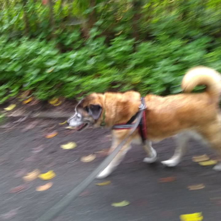 117bf8f6 11a6 4eb0 a4b8 279a94428c3d 1563754870341