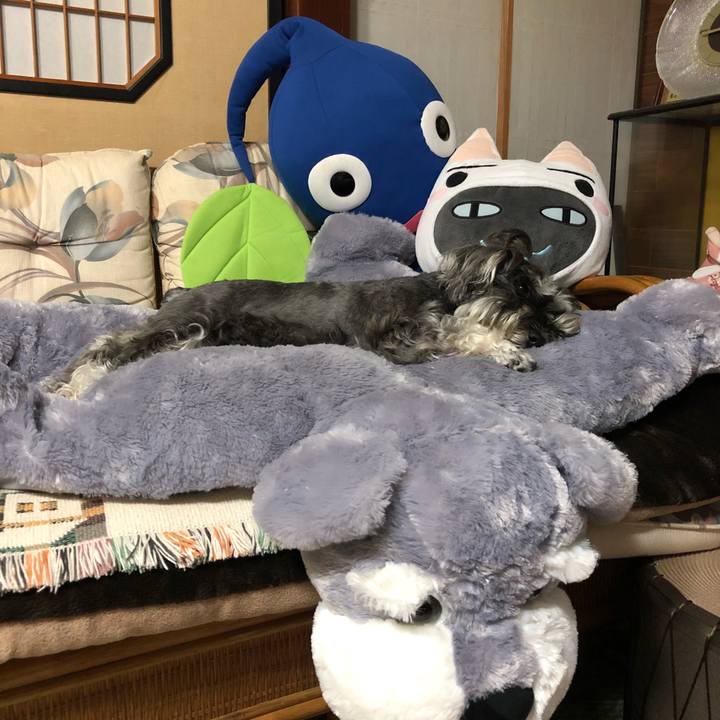 117c06d7 ab55 4e66 b5f6 f9c329da1256 1530357956433