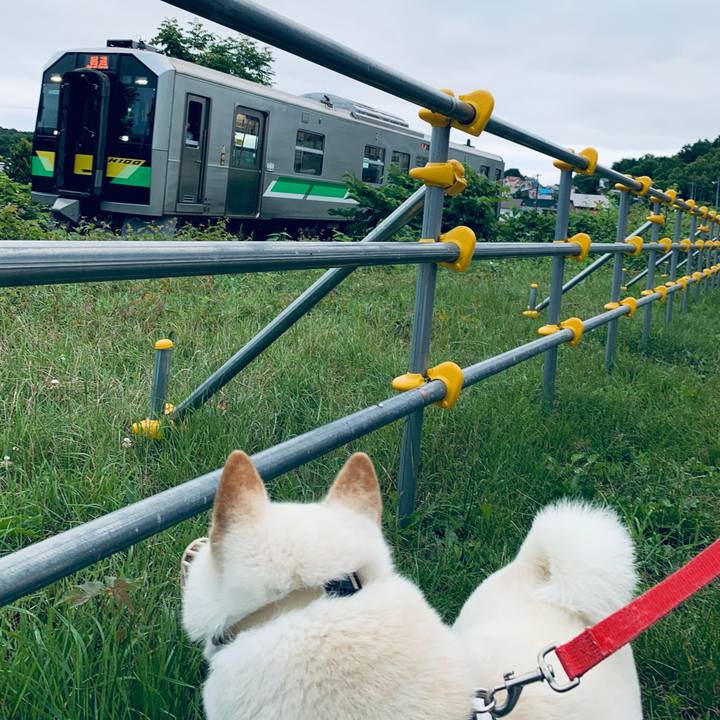 117c0a42 f32e 426d bdf0 5d4b257e502b 1594588505091