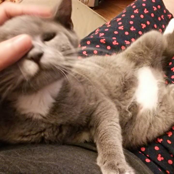 117c23ea 15e0 4480 a862 6f6c2db8a414 1535063134008