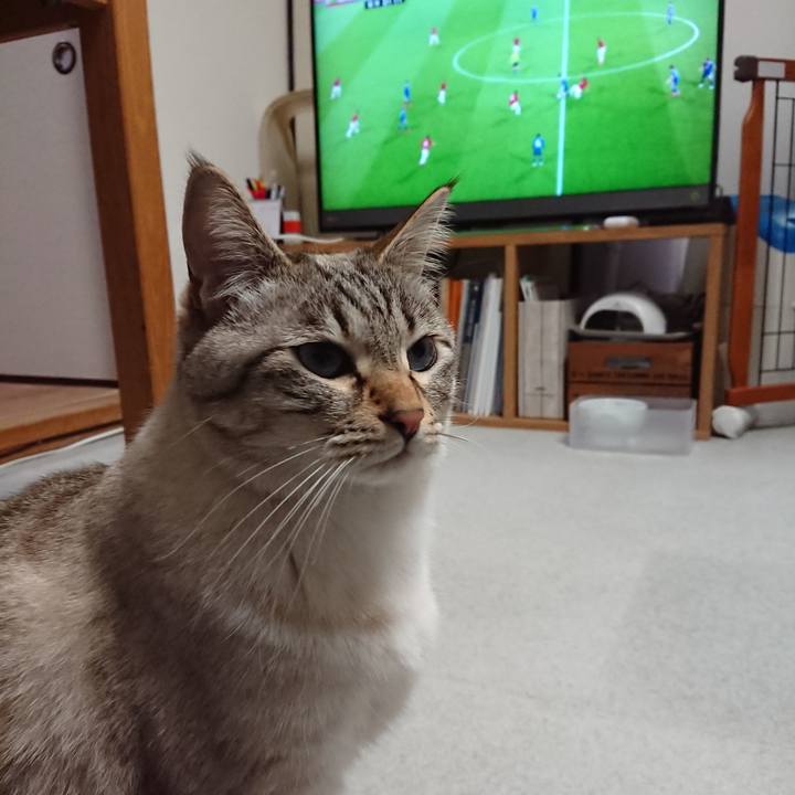 117c733b 6fbb 46c7 827c 655a5aba5e55 1553598680623