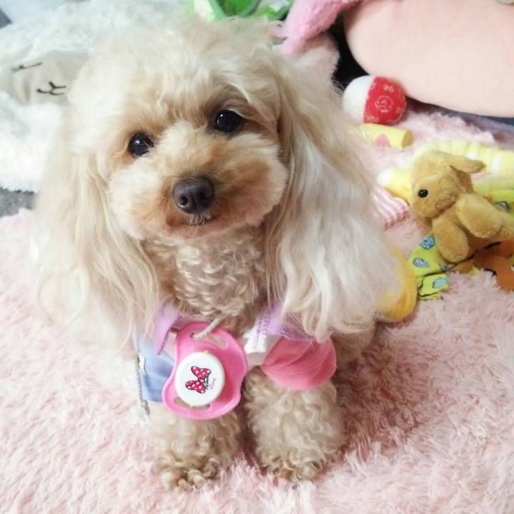 117c80d3 8a37 4549 9100 06b23a67f60b 1526038202209