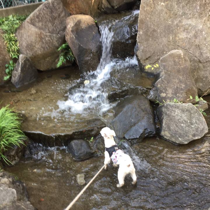 117d2322 d644 4c59 b11a b3ca3066a489 1540709259014