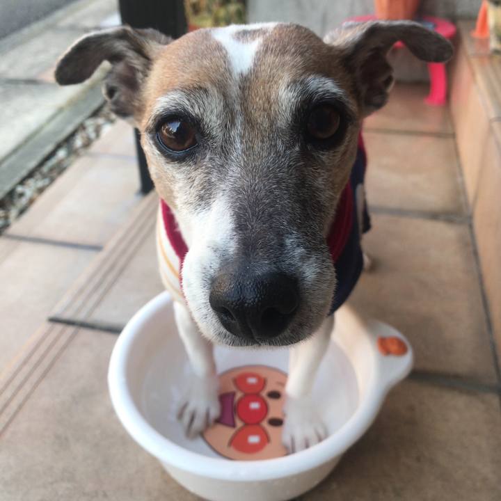 117d2ff8 19b0 4ca0 8b5e 3471c2dd25cc 1519704344546