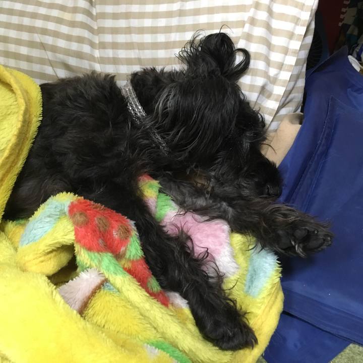 117d4cd7 2838 414a b76f 023c7728c82a 1509860446351