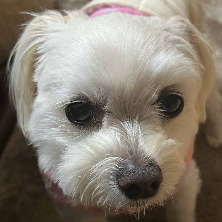 117d8bbd 6ae9 49e7 ba6d 8d11af7e6c1f 1676807201564