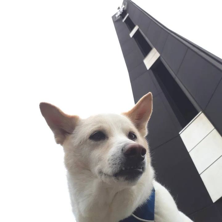 117d915c c52b 48d7 89fc 69906014ca57 1682151128553