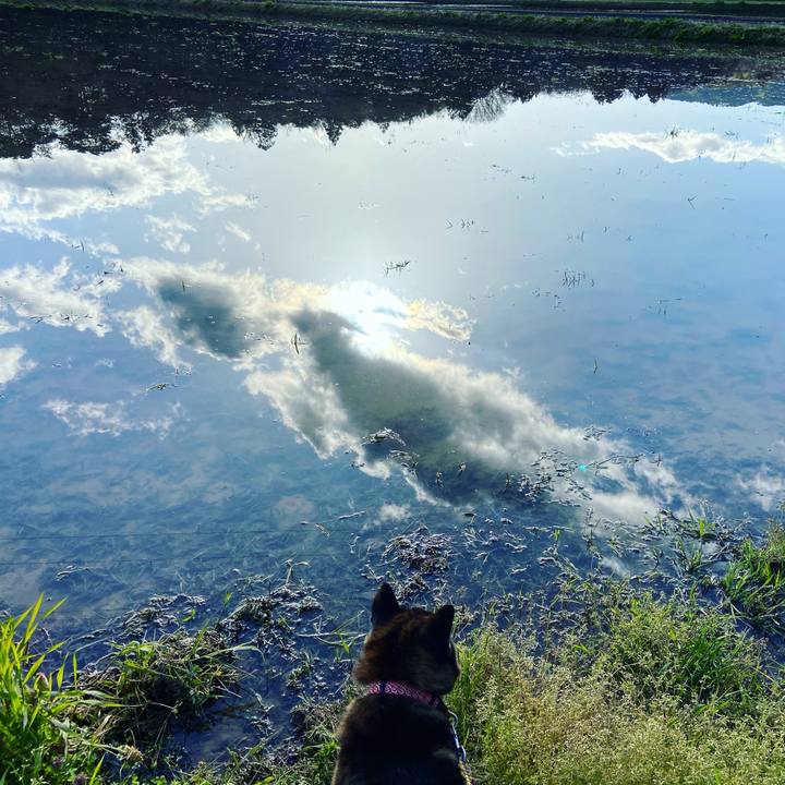 117d9c57 2bd4 43e3 af16 049f7cb76a73 1619389489809