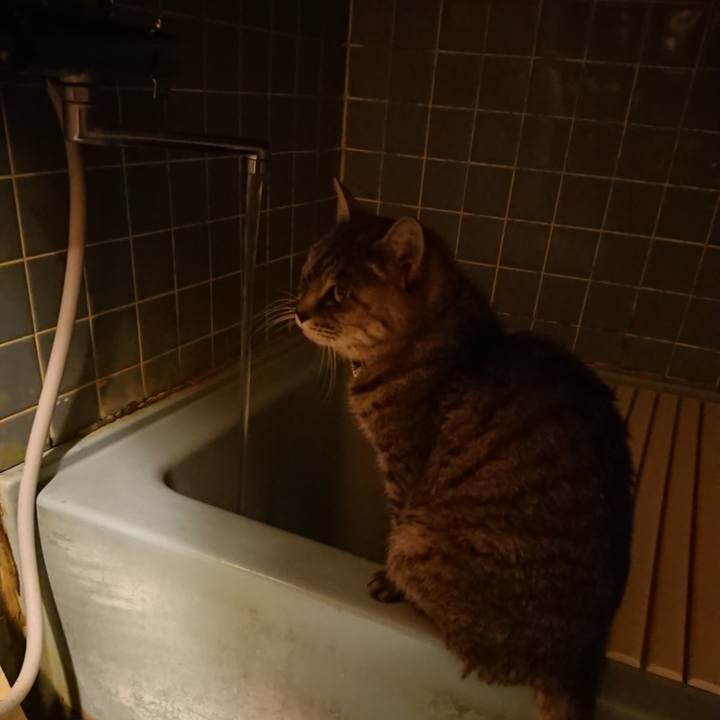 117df44a 6bc1 4e2f af73 b653beedf655 1575019574938