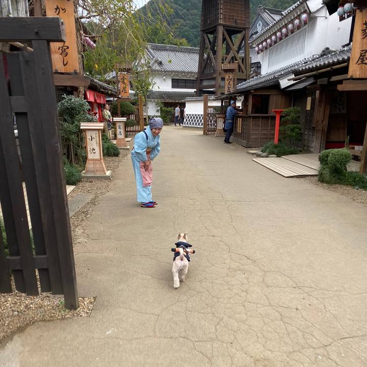 117e0310 ccfb 4751 8b12 99a8a80d1b20 1571798037260