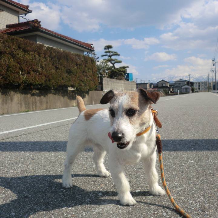 117e3dce 1a89 4007 8ac7 79719ac17792 1554364604959