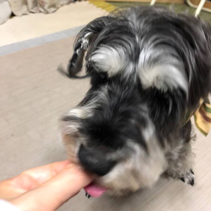 117e4b28 c0d5 4c6e 96b1 42df7068ce17 1656505905441