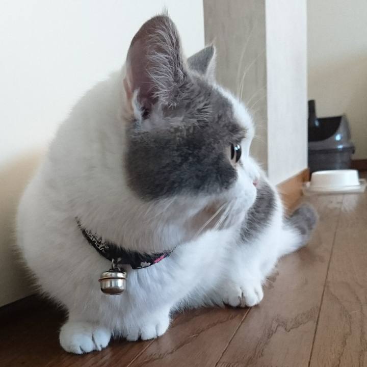 117e5cf3 3a17 4d1e 9e79 0cf00886f8fc 1560380244593