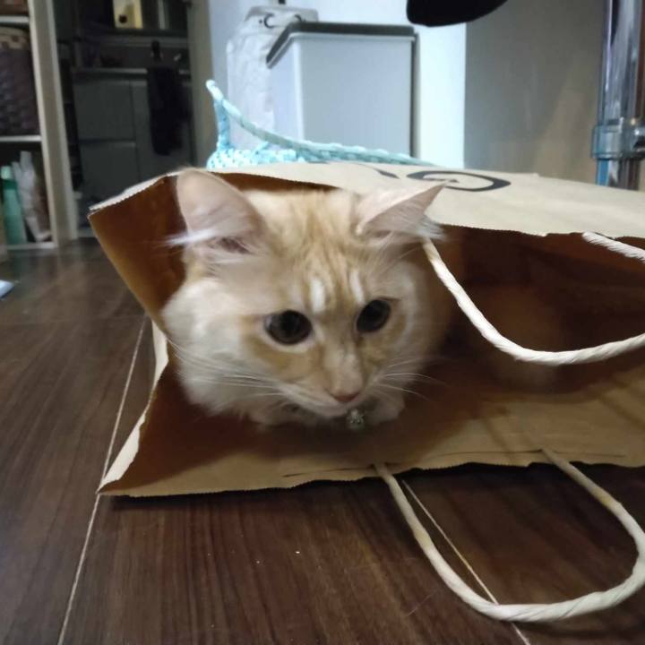 117eafcf fe41 4d70 8675 7506016d36c6 1700825133535