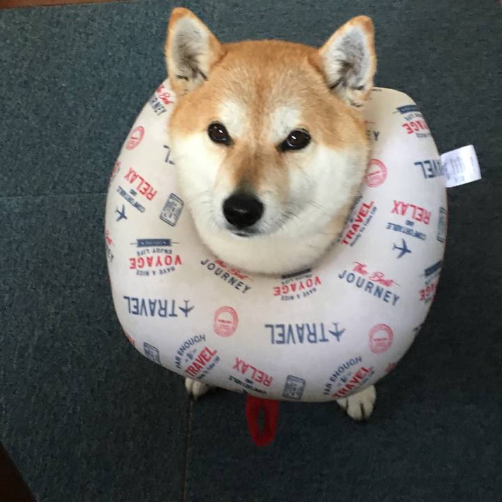 117eb6b9 140c 45f8 b16d 769b5683eb4e 1585194473358