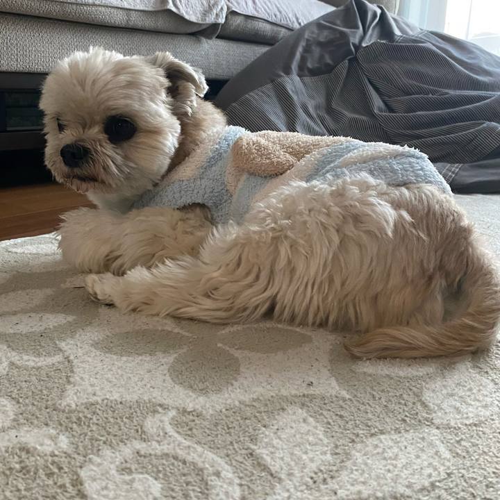 117ef845 aca6 4d4f b843 819481696735 1737431573495