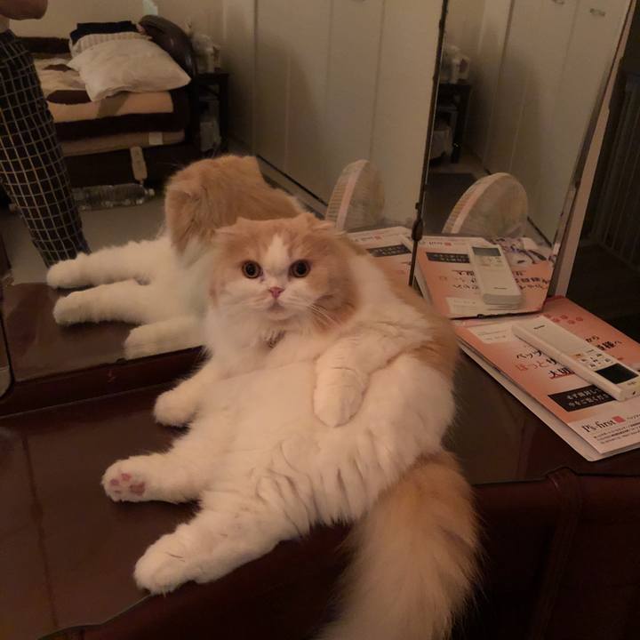 117ef889 d17d 4b3b b8ba 6b002408076c 1596973554787