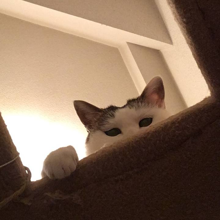 117f0d87 6ee3 4928 8d49 1cb2fc01ca49 1614838274595