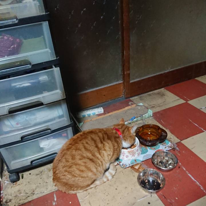 117f1d0f 4313 4d7a 85b7 b77550509831 1577303098700