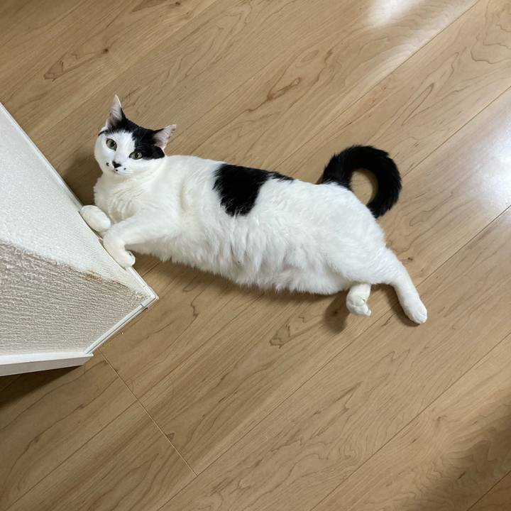 117f9579 5706 4b68 9632 5cba1f91e59d 1770806276663