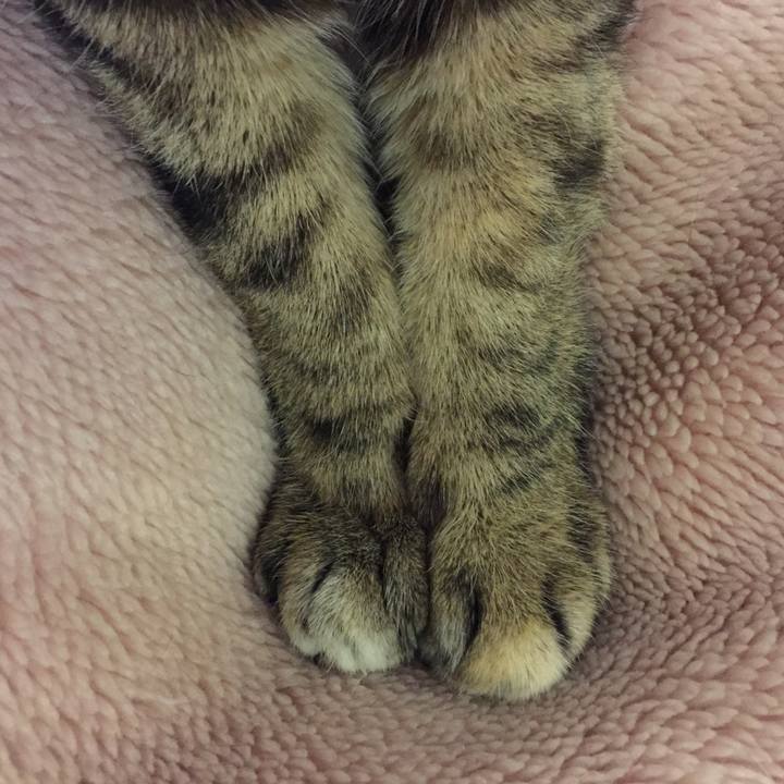 11800046 e38a 4116 851c 7c9b6621dc3d 1520493228382