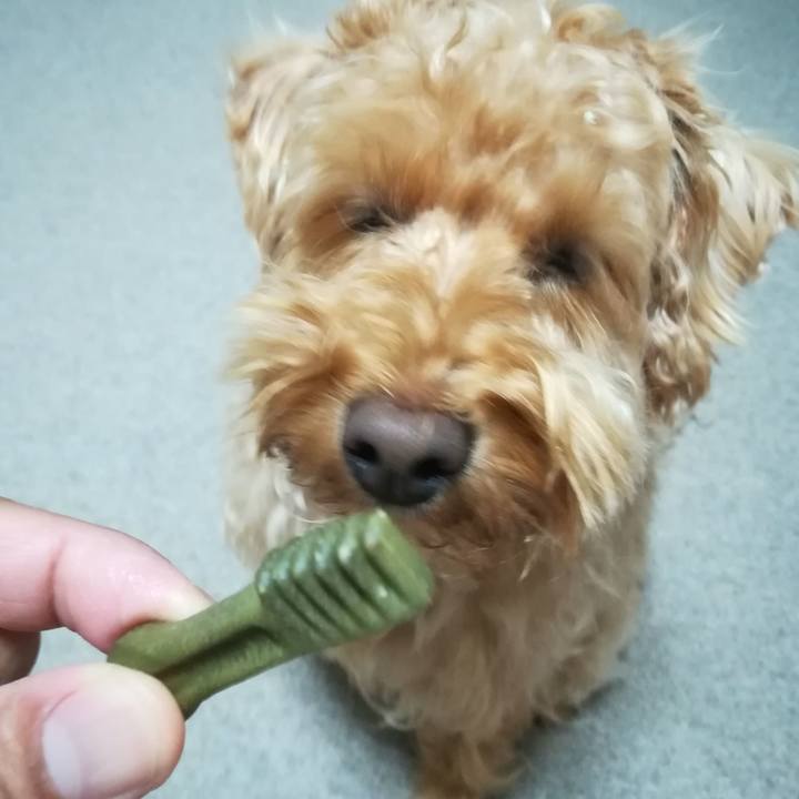 1180508c a261 4270 b53b 137ca821100c 1528461724265