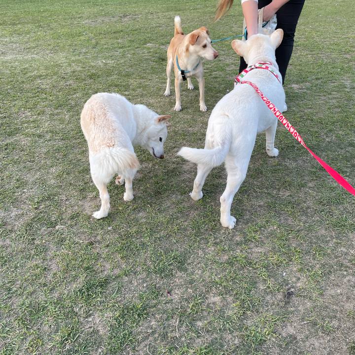 118090bc 9625 43d6 be05 66b85718fe41 1649332410226