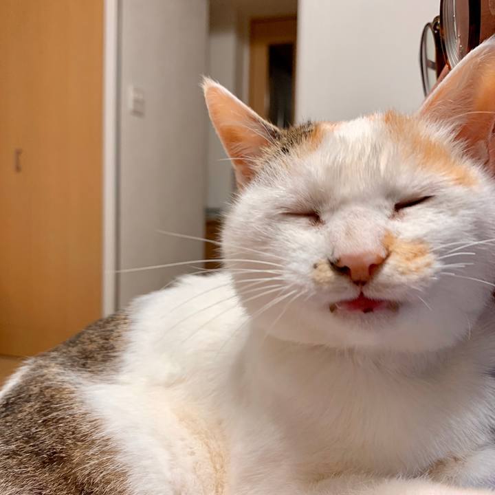 1180ad27 0a84 45e1 a9ac d1361b31e968 1582716078422