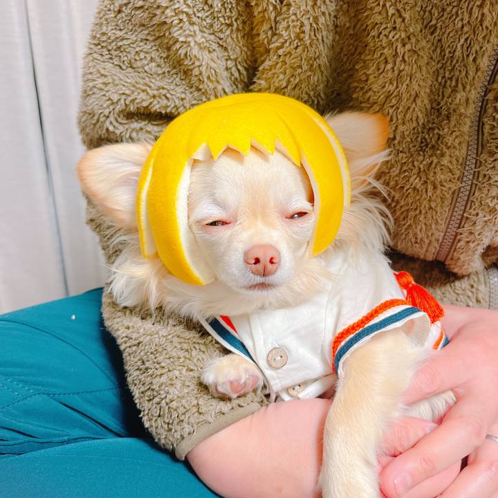 1180dff4 a12d 49a3 9add 05c3f19f682f 1647951178438