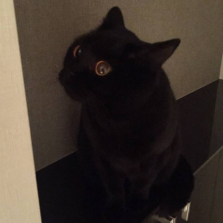 118113cb c390 4795 a1eb c18b364098e2 1552392923941