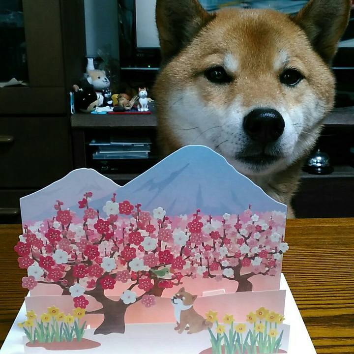 118137cd 4794 4b5c be84 16f25342dee1 1548746056153