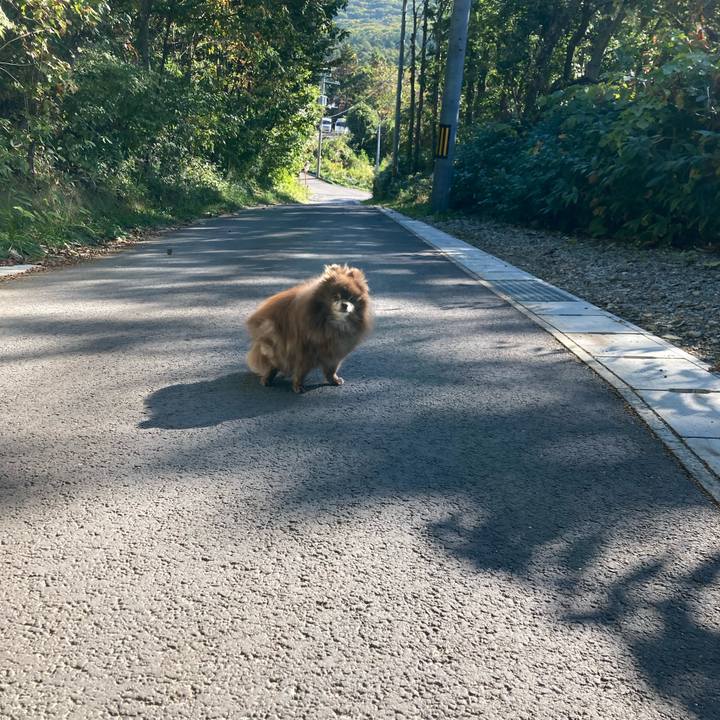 11815679 c7fb 465a b89d cd850d948960 1728780169991