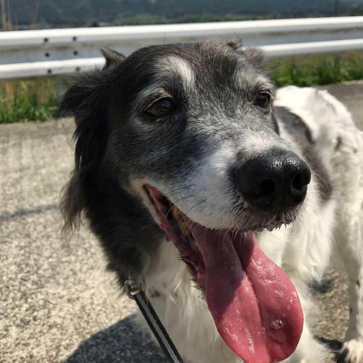 1181611e 6439 4b13 acbd 99af94487de6 1557029274684