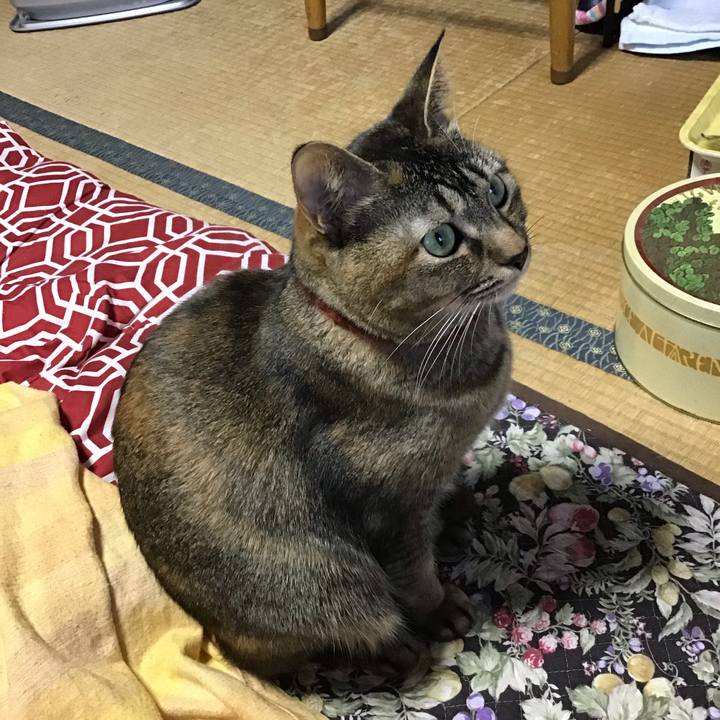 11818c0c 567f 4de0 8f20 4faf7bf29488 1640214697734