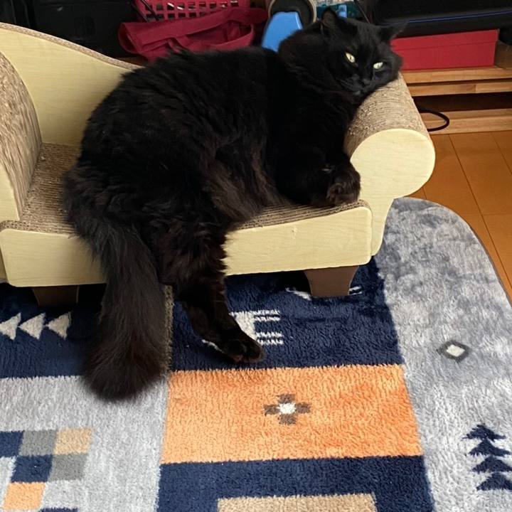 1181b906 a74c 4f88 95f8 d970cb548841 1601422483392