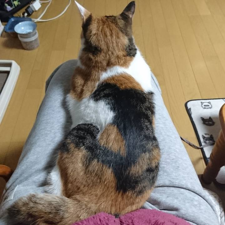 1181d469 c4d7 40b3 9e7d f14dae2f17a4 1577967574429