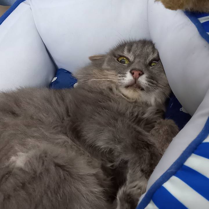 11821200 e548 46f8 a3d2 9e85c4078695 1660350586894