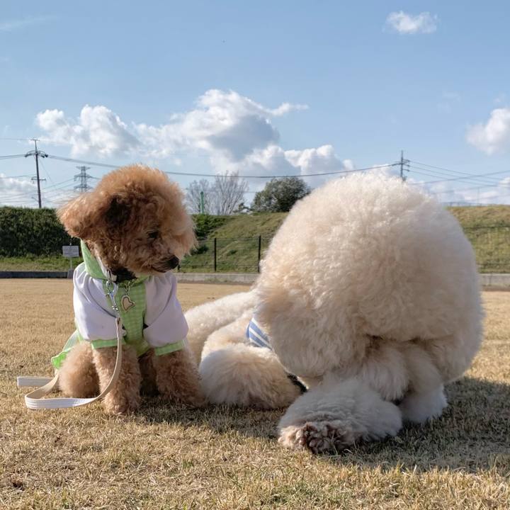 118233a8 c690 44dd bef9 9433e31019ca 1774347788312