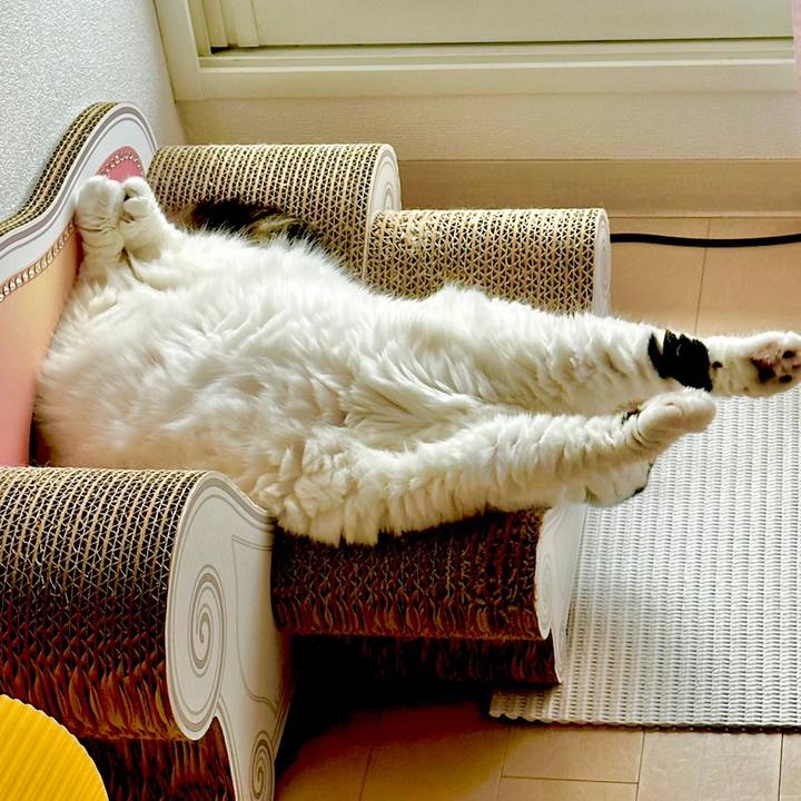 1182457b 78de 431b bc08 1ada45ff8aff 1689809304846