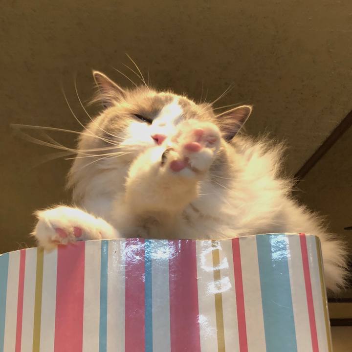 11825dc6 c627 413a beec d5203076ca13 1584662657246