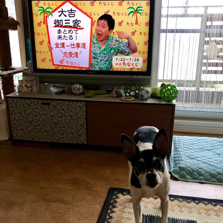 1182975f 20e7 4907 9df4 8519eb25069e 1563749816848