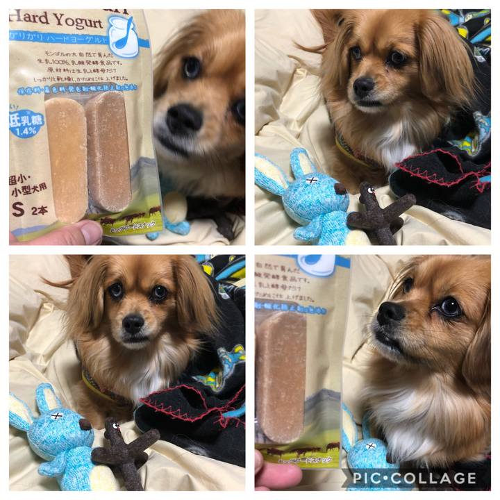 1182d72d cbe5 4106 a30e dfefdfb216d9 1551278597143