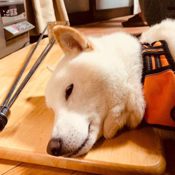 1182e060 67a8 49db b634 92614d0676f6 1638665038693