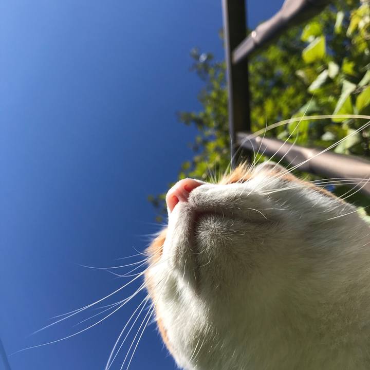 11830d00 4d8a 451c aa99 acbdd1d5d508 1537318185253