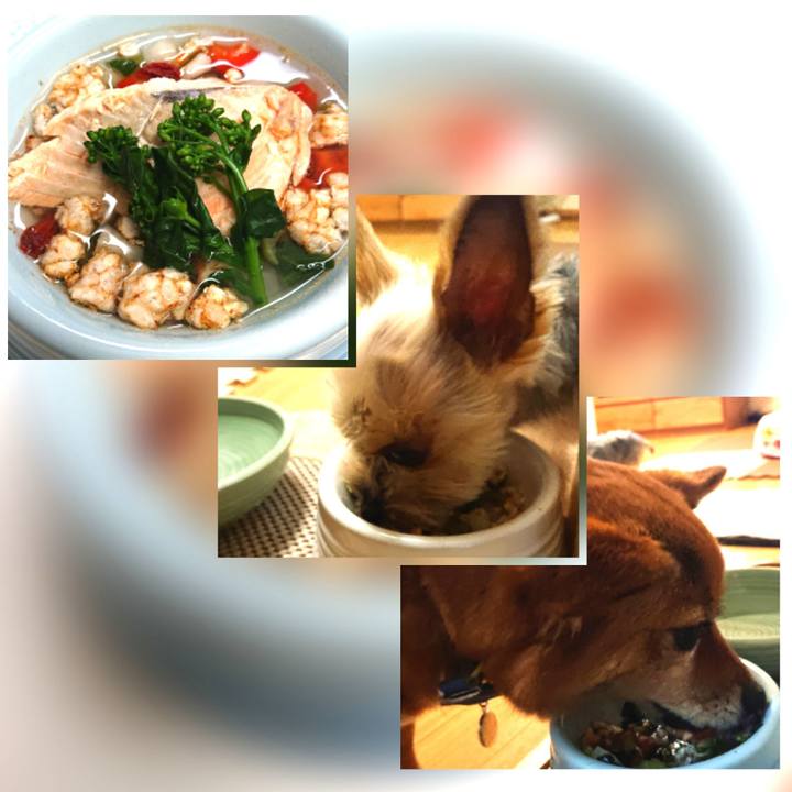 11832e20 71d2 4b17 bb71 d2118d2d5f90 1618282349571